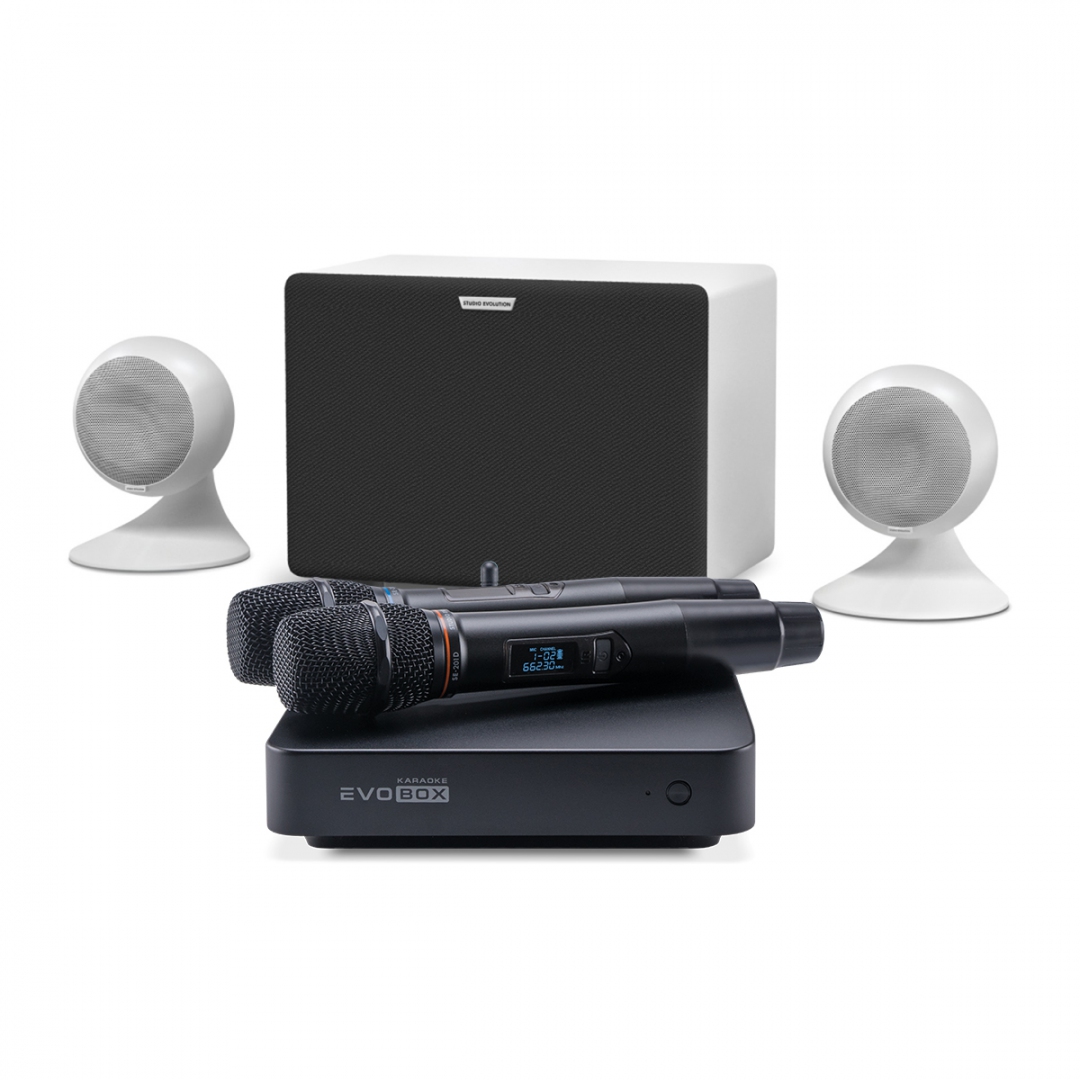 караоке-комплект EVOBOX Classic + EvoSound Sphere 2.1 в Россоши