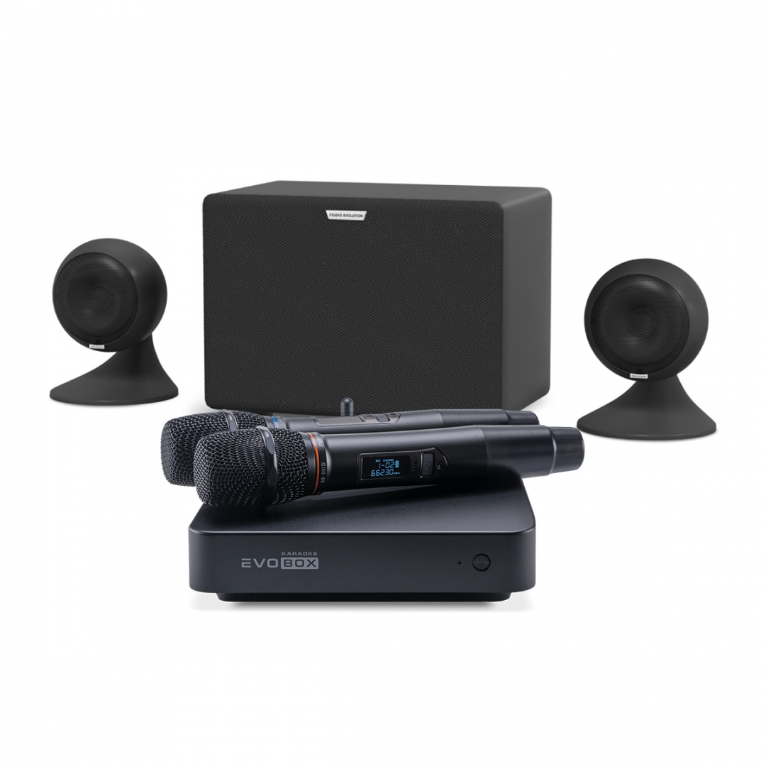 караоке-комплект EVOBOX Plus + EvoSound Sphere 2.1 в Россоши