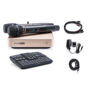 EVOBOX Classic караоке-система для дома в Россоши